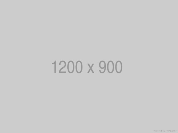 Line Wood - immagine 2