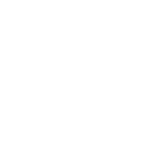 terra 300